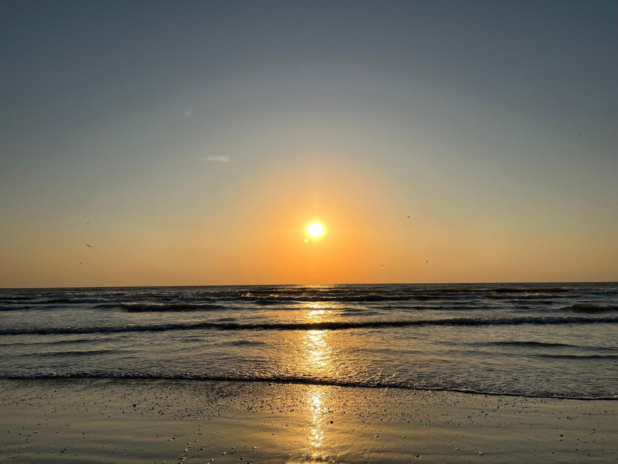 Excelsior Apartaments Mamaia Nord Năvodari Eksteriør bilde